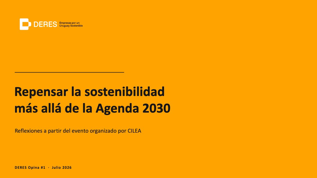Repensar la sostenibilidad mas allá de la Agenda 2030
